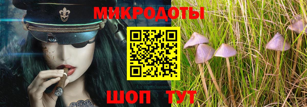 Псилоцибиновые грибы мухоморы Людиново