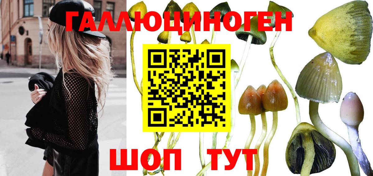Псилоцибиновые грибы MAGIC MUSHROOMS  Галлюциногенные грибы мицелий  Людиново  Вход с VPN 